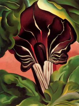 Jack in the Pulpit II